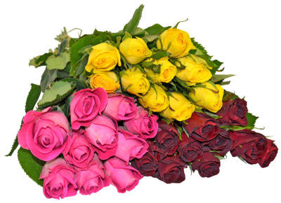 Drei Bunde Rosen liegen aufeinander. Ein Bund ist gelb, einer dunkelrot und einer pink. 