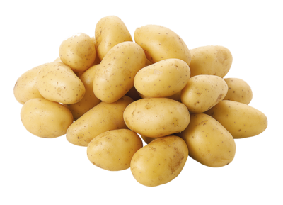 Mehrere unverpackte Kartoffeln 